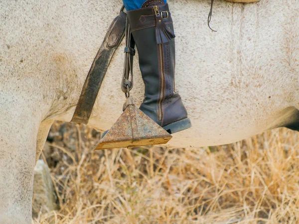 Geschnittenes Bild Einer Frau Auf Einem Bauernhof — Stockfoto