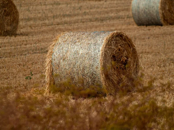 Pile Bales Harvesting Field Salamanca Spain — Stock Photo, Image