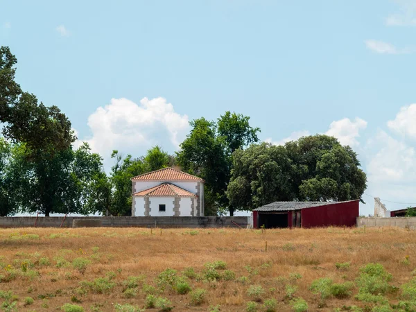 Természet Tájkép Salamanca Spanyolország — Stock Fotó