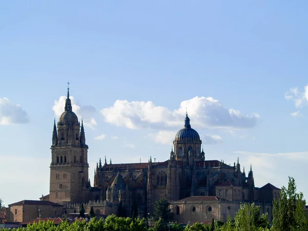 Cattedrale Storica Salamanca Spagna — Foto Stock