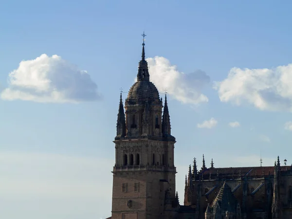 Historische Kathedraal Salamanca Spanje — Stockfoto