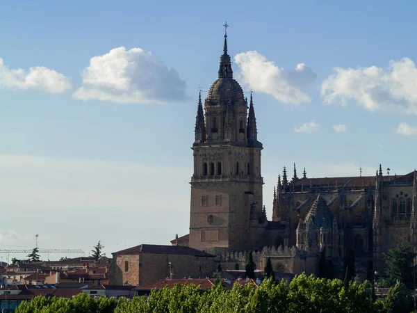 Ιστορικό Καθεδρικό Ναό Σαλαμάνκα Ισπανία — Φωτογραφία Αρχείου