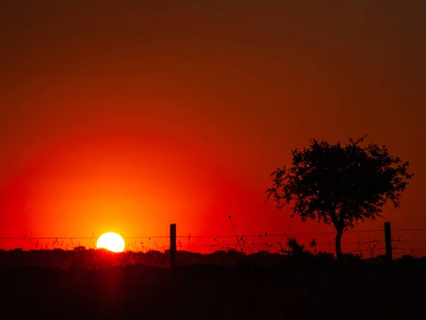 Atardecer Cabeza Diego Gomez Salamanca España — Foto de Stock