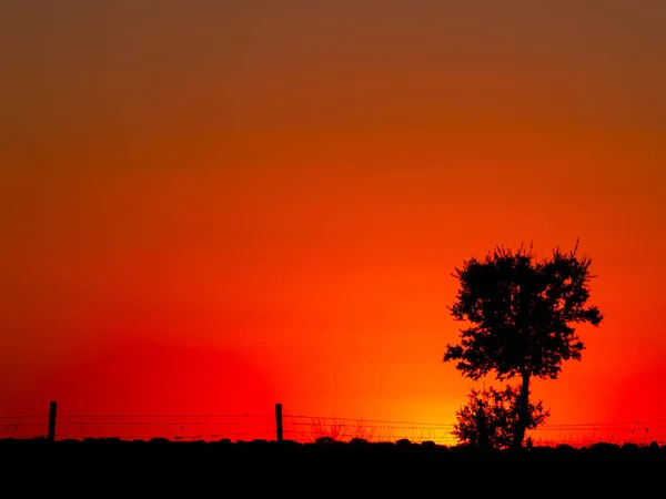 Sunset Cabeza Diego Gomez Salamanca Spain — Stock Photo, Image