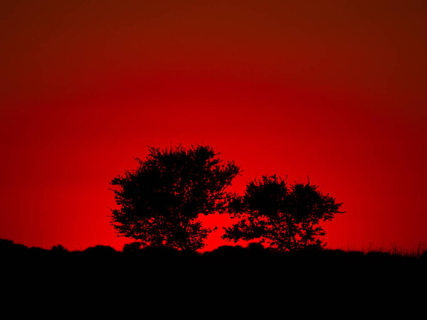 Sunset in Cabeza de Diego Gomez , Salamanca , Spain