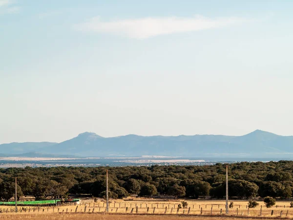 Paisaje Natural Cádiz España — Foto de Stock