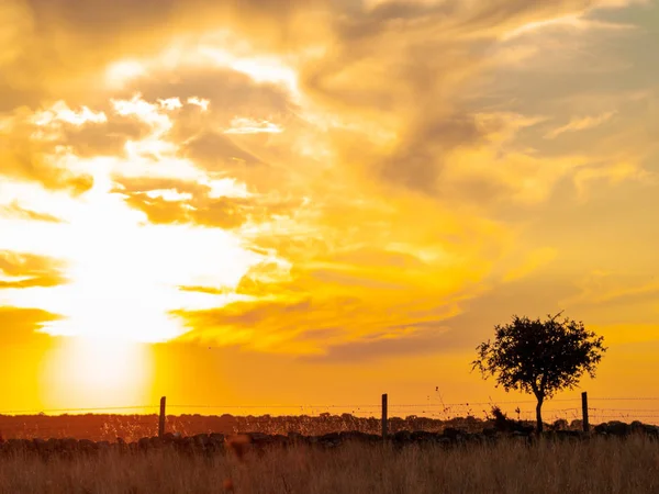 Atardecer Cabeza Diego Gomez Salamanca España — Foto de Stock