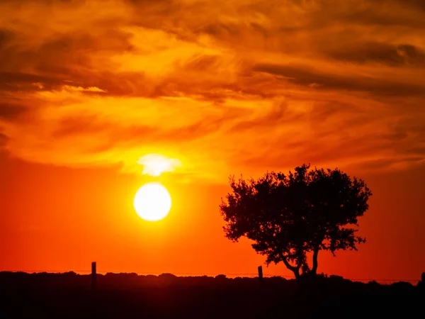 日落在卡贝扎 德迭戈 戈麦斯 萨拉曼卡 西班牙 — 图库照片