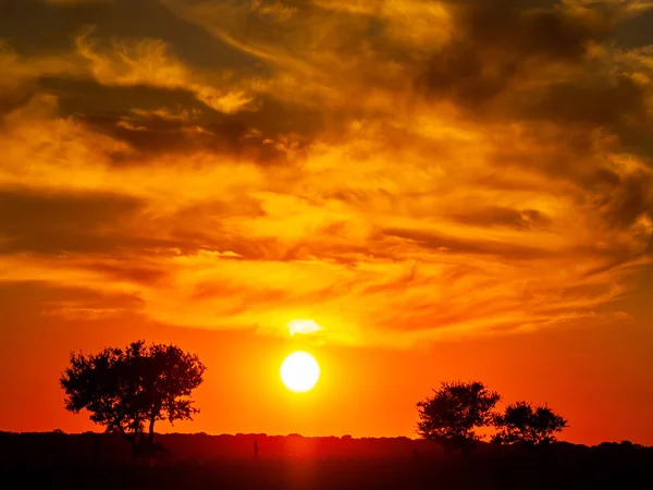 Por Sol Cabeza Diego Gomez Salamanca Espanha — Fotografia de Stock