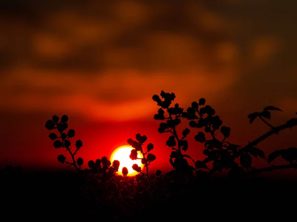 Tramonto Cabeza Diego Gomez Salamanca Spagna — Foto Stock