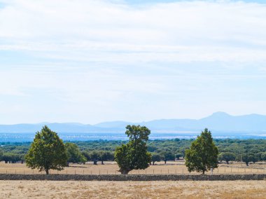 alan Cabeza de Diego Gomez, Salamanca, İspanya
