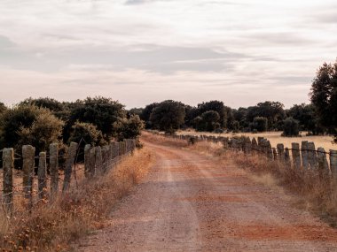 Kırsal yol Cabeza de Diego Gomez, Salamanca, İspanya