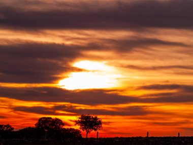 Dehesa ve ağaç siluet bir bulutlu gün batımında romantik turuncu gökyüzü