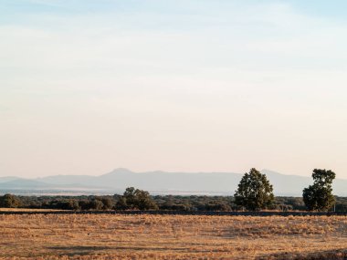 alan Cabeza de Diego Gomez, Salamanca, İspanya
