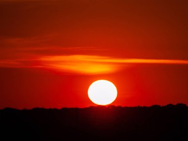 Kaç bulutlar ve dehesa ve ağaç siluet chemtrails batımında romantik turuncu gökyüzü