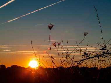 Günbatımı arazide chemtrails ve lens flare ile romantik gökyüzü ile