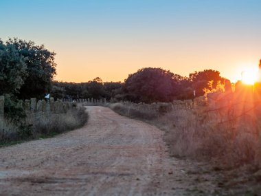 Gün batımı sırasında kırsal yol Cabeza de Diego Gomez, Salamanca, İspanya