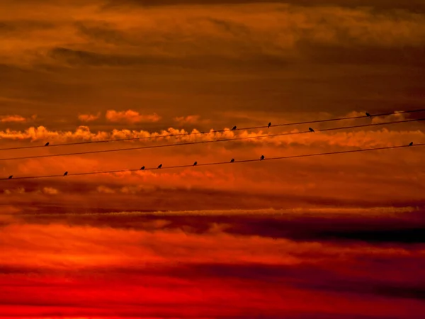 Zonsondergang Met Oranje Hemel Cabeza Diego Gomez Spanje — Stockfoto