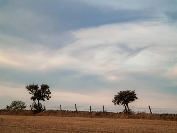 Rural Road Cabeza Diego Gomez Salamanca Spain — Stock Photo, Image