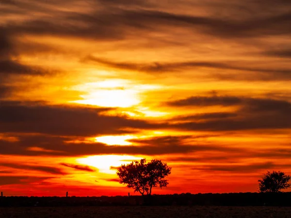 Romántico Cielo Naranja Atardecer Día Nublado Dehesa Silueta Del Árbol — Foto de Stock