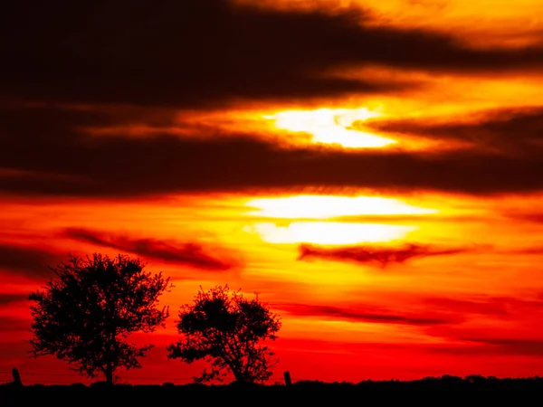 Céu Laranja Romântico Pôr Sol Dia Nublado Silhueta Dehesa Árvore — Fotografia de Stock