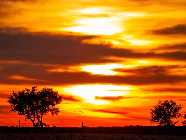 Romántico Cielo Naranja Atardecer Día Nublado Dehesa Silueta Del Árbol — Foto de Stock