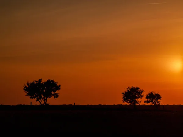 Romantický Oranžová Obloha Při Západu Slunce Málo Mraků Chemtrails Siluetě — Stock fotografie