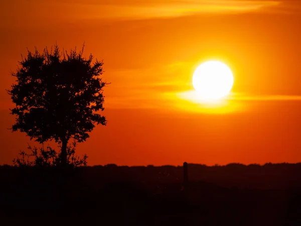 Céu Laranja Romântico Pôr Sol Com Poucas Nuvens Rastos Químicos — Fotografia de Stock