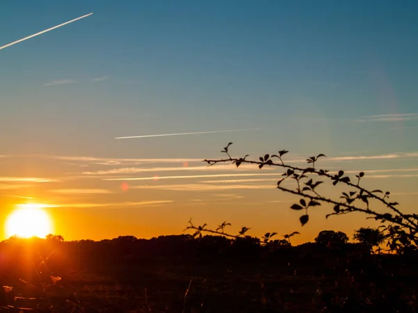 Pôr Sol Pasto Com Céu Romântico Com Chemtrails Brilho Lente — Fotografia de Stock