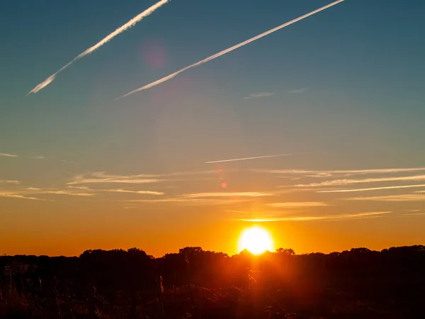 Sunset in the pasture with romantic sky with chemtrails and lens flare