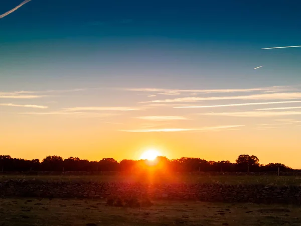 Pôr Sol Pasto Com Céu Romântico Com Chemtrails Brilho Lente — Fotografia de Stock