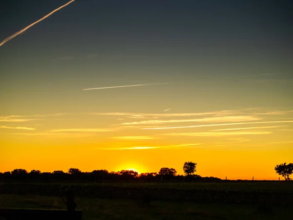 Pôr Sol Pasto Com Céu Romântico Com Chemtrails Brilho Lente — Fotografia de Stock