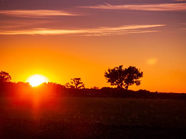 Západ Slunce Pastvině Romantickou Oblohou Chemtrails Objektivu Flare — Stock fotografie