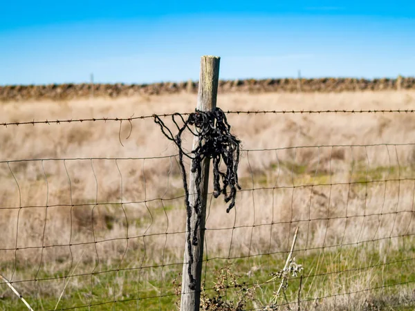 Kablolu çit alanı, Salamanca, Ispanya