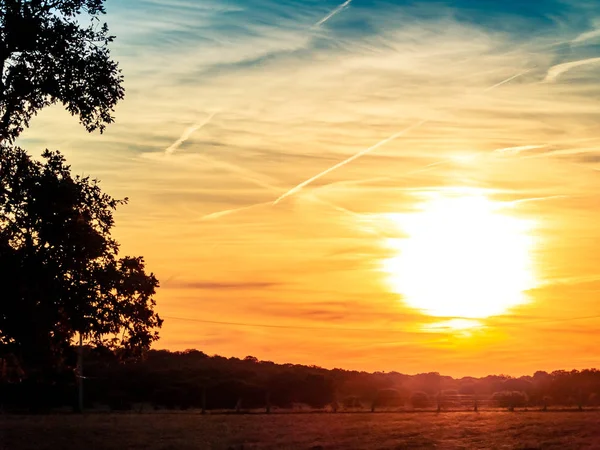 Pôr Sol Com Poucas Nuvens Silhueta Árvores Cabeza Diego Gomez — Fotografia de Stock