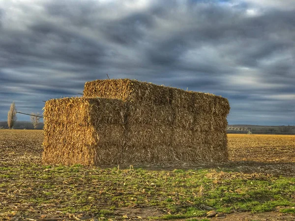 Seno Farmě Modrá Obloha — Stock fotografie