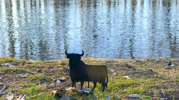 Bull Figure Beautiful Lake Spain Nature Travel — Stock Photo, Image