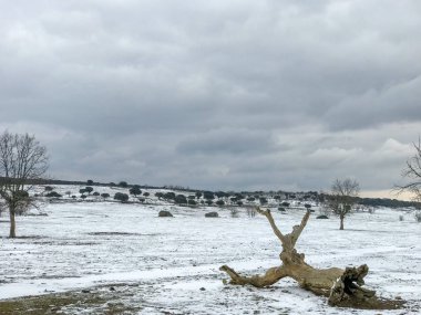 ğı La Alberca - Salamanca - İspanya, kış