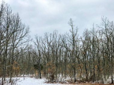 ğı La Alberca - Salamanca - İspanya, kış