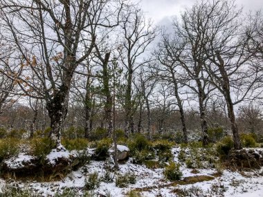ğı La Alberca - Salamanca - İspanya, kış