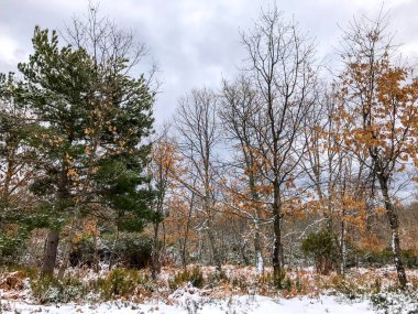 ğı La Alberca - Salamanca - İspanya, kış