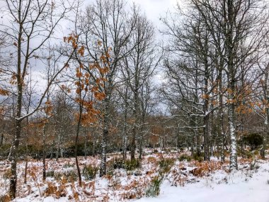 ğı La Alberca - Salamanca - İspanya, kış