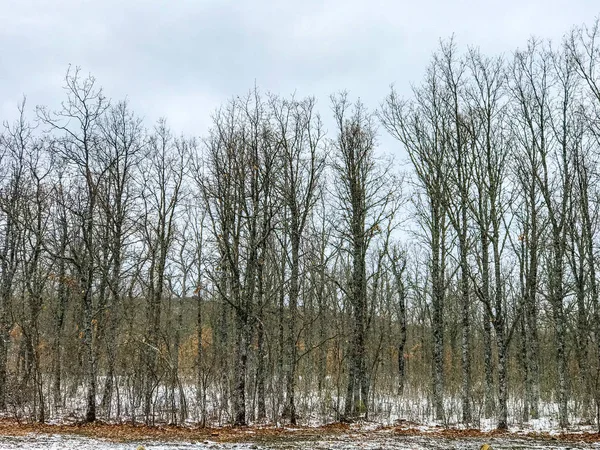 ğı La Alberca - Salamanca - İspanya, kış