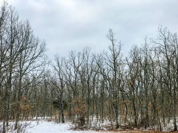 ğı La Alberca - Salamanca - İspanya, kış