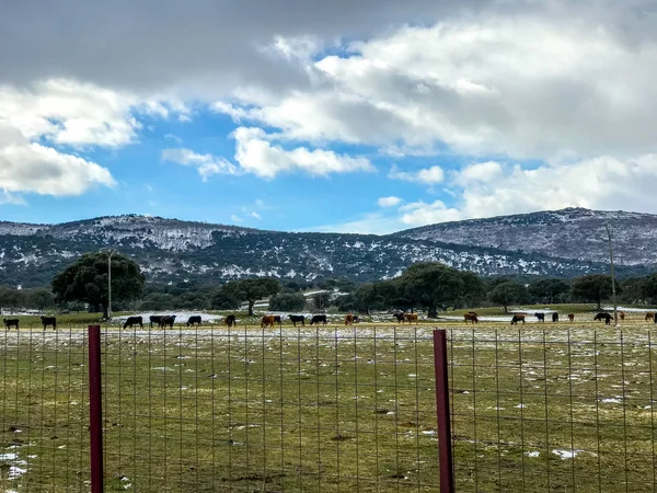 ğı La Alberca - Salamanca - İspanya, kış