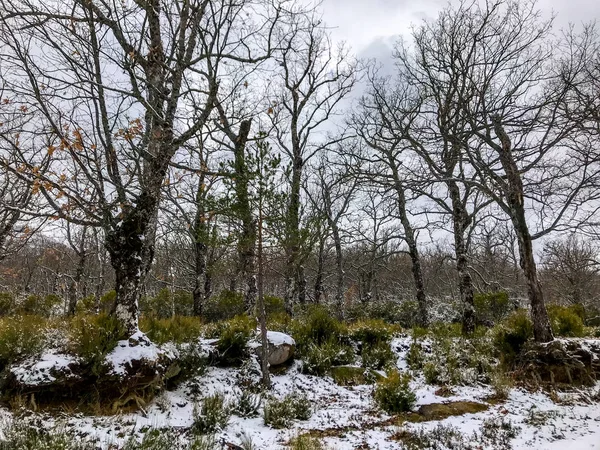 ğı La Alberca - Salamanca - İspanya, kış