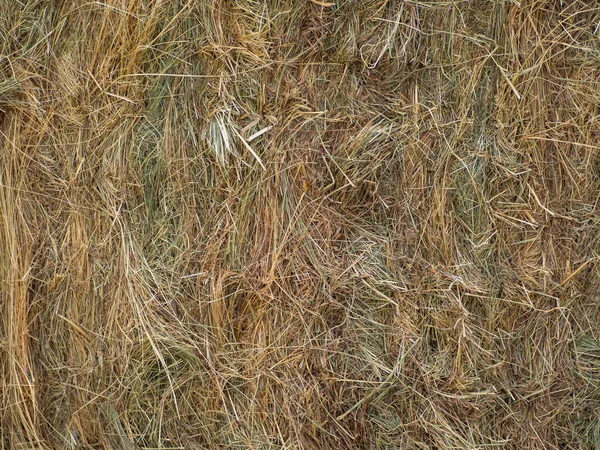干し草ベールの抽象的な自然なテクスチャ背景 — ストック写真