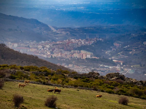 Aerial View Mountain Landscape Covatilla Bejar Salamanca — Stock Photo, Image