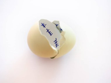 Kırık bir yumurta ile bir geri sayım ve pastel mavi bir arka plan üzerinde tüy içinde. Özgürlük kavramı