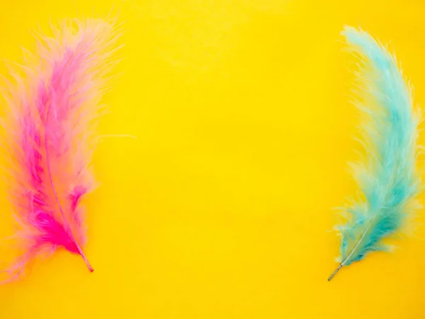 Pink and green feathers on a yellow background — Stock Photo, Image